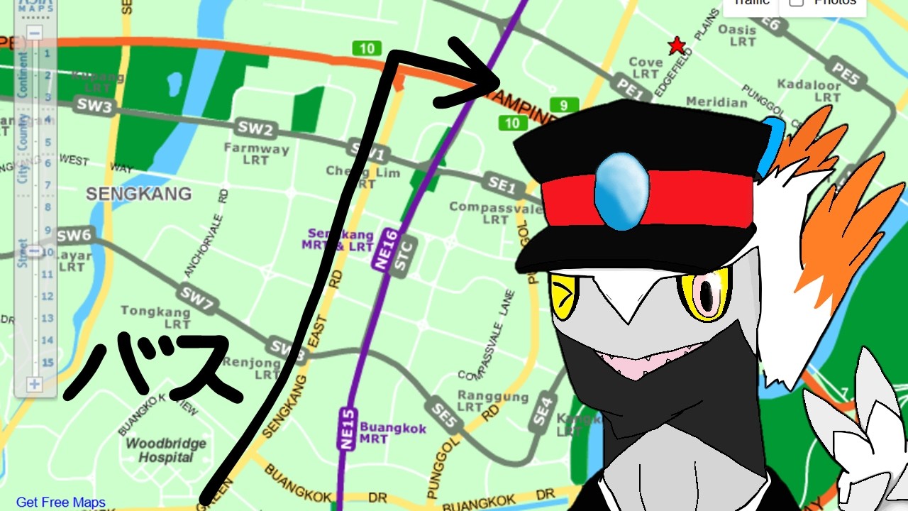 As long as a trunk bus service passes by Sengkang and takes you outside, it won't get rationalized