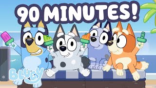 live bluey time with the family 90 minutes bluey