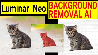 Luminar Neo. Background Removal Ai extension review screenshot 4