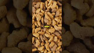 Marketplace Pets Lovers