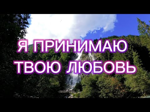 Я ПРИНИМАЮ ТВОЮ ЛЮБОВЬ - песня с текстом + фонограмма (караоке)