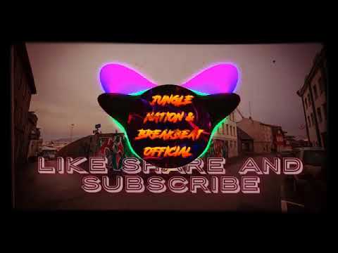 Mr ewik`jungle ducth•Numa-numa 2k19 break style
