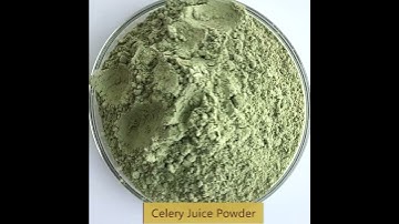 Celery Juice Powder