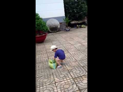 Video Rio cho gà ăn thóc Rio 23 tháng - youtube