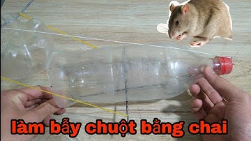 Hướng dẫn cách làm Bẫy Chuột bằng chai nhựa đơn giản tại nhà | NVT Thích Chế Tạo
