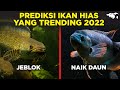 PREDIKSI TREN IKAN HIAS YANG BAKAL NAIK DAUN DI TAHUN 2022