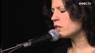 Birds Are Indie | "High On Love Songs"