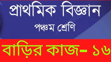 Class 5 Science Assignment 16, Class 5 Science Homework 16, ৫ম শ্রেণি বিজ্ঞান বাড়ির কাজ ১৬