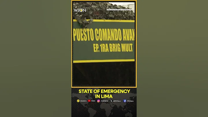 Peru Government Implements Tighter Measures To Curb Rising Crime Fueling Protests in Lima |WION News