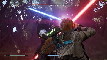 Fallen Order Frame Stuttering/Drops