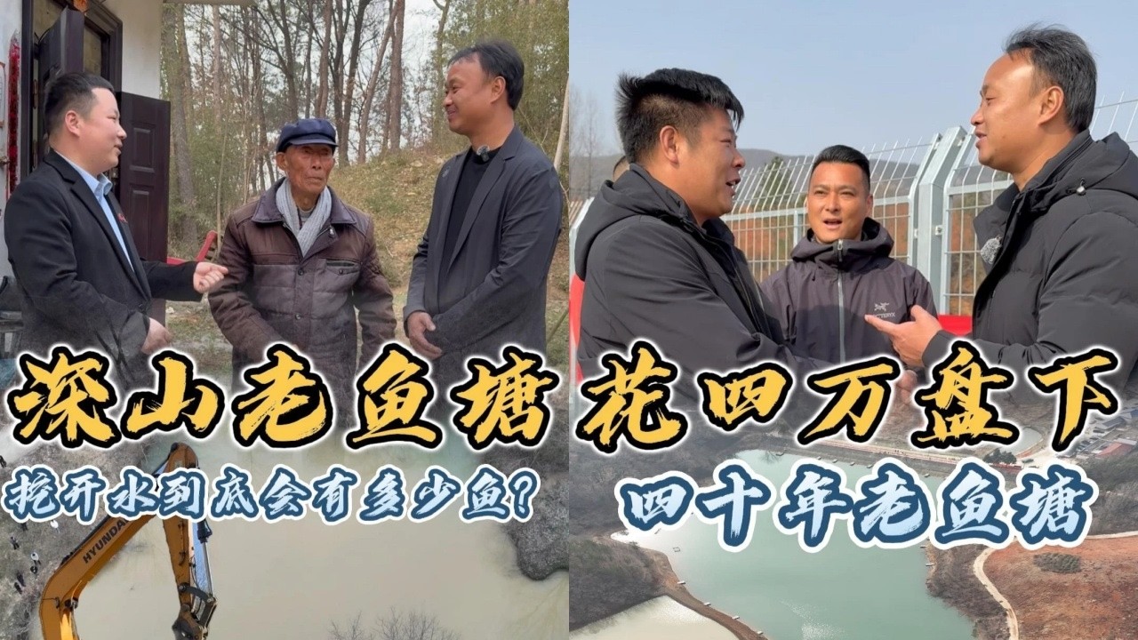 93岁老爷爷在大山里养的老鱼塘，用挖机挖开到底有多少鱼？