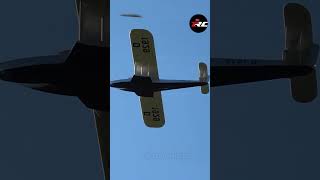 RC Flying Boat  #viralvideo #rcairplanes #radiocontrol