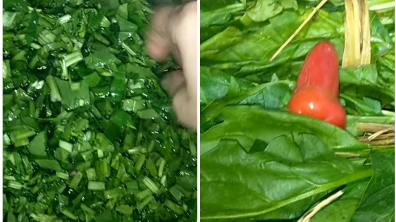 تقطيع وغسيل السبانخ بأسهل  طريقةاحنا ليه كنا بنعذب نفسنا  إزالةالرمل والطين بكل سهوله سهلي على نفسك