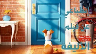 إنطباع عن فيلم حياة الكلاب السرية