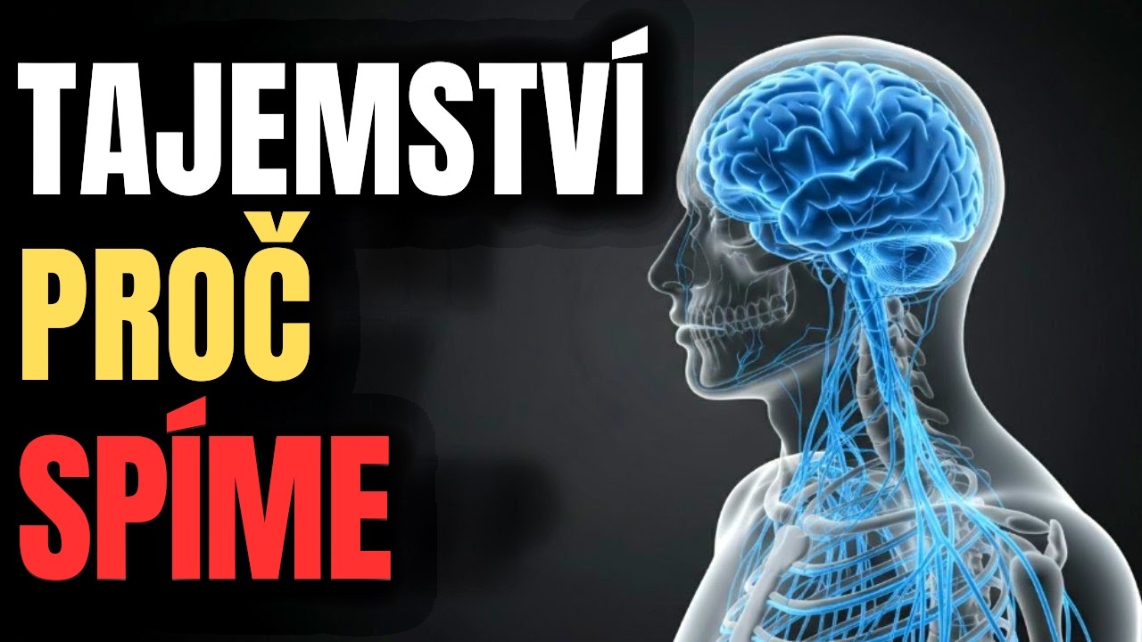 Skutečný důvod, proč lidé spí 8 hodin (a proč nás to kdysi málem zabilo) | Historie spánku