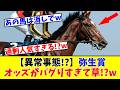 【弥生賞ディープインパクト記念】【異常事態!?】弥生賞のオッズがバグりすぎて衝撃的な事態にファン驚愕!?www