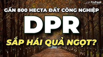 Phân Tích Cổ Phiếu DPR: Cao Su Đồng Phú - Khi "Vàng Trắng" Nhường Chỗ "Vàng Công Nghiệp"