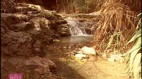 In quale Stato si trova il deserto del Negev?