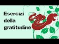 Esercizi della gratitudine