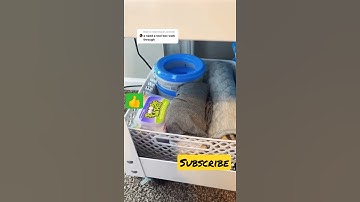 CRAP ON.TOOL BOX for dads #shorts #tools