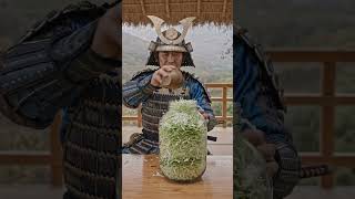 Even Samurai Need Probiotics! 🥬⚔️