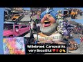 Willebroek Carnaval Its very nice❤️🌹👏/tibetan vlog nam family in Belgium 🇧🇪