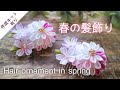 【音楽あり】春の髪飾り【つまみ細工】作り方 DIY ハンドメイド Hair ornament in spring/kanzasi flower /kanzasi flower