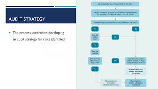 17. Audit Strategy