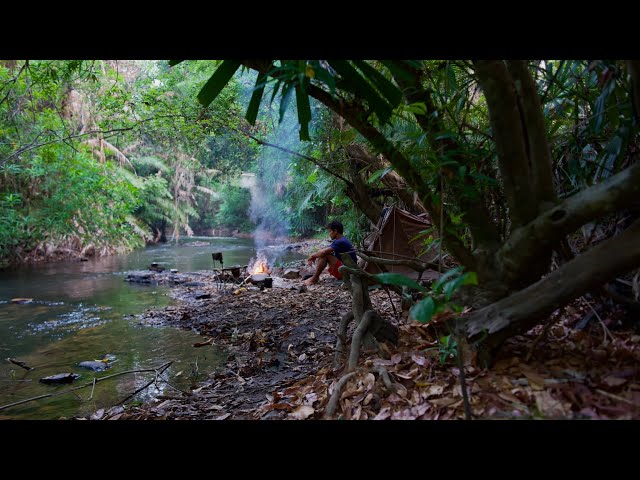 Solo camping and cooking in forest មួយយប់មួយថ្ងៃម្នាក់ឯងរកត្រីរកពស់ class=