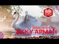 Аққу арман - Клара Төленбаева |Қазақша караоке казакша|