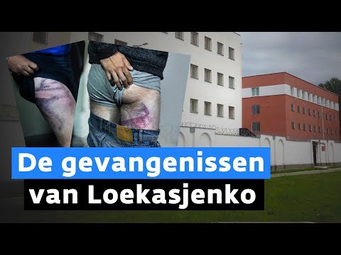 Video: Vrijgelaten Uit De Gevangenis Arriveerde De 