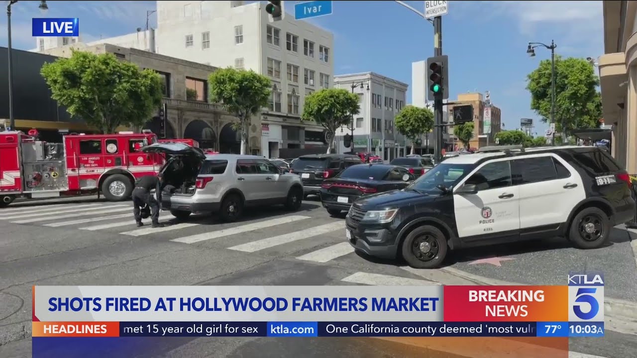 Reports of shots fired leads to shut down of Hollywood Farmers Market YouTube