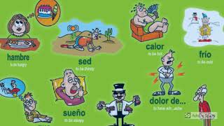El Verbo Tener