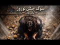 سوگ جشن نوروز بخش اول ادامه دارد عیدنوروز سوگ ایران رقص سینما فیلم کوتاه ادبیات فیلم