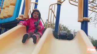 Team Magic E5 4X4 Truck Brushed Version