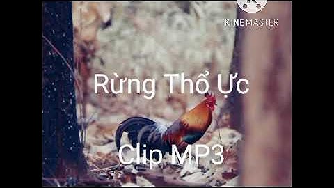 Tiếng gà rừng rặc gáy thổ ực 2023... giọng chuẩn [file MP3]
