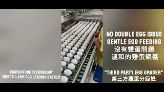 EggVenture Revolutionising #Egg #EggLoader COMBI Inline to conveyor or Offline Loader ) System.