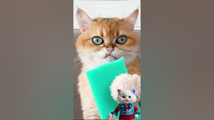 The soap is RUNNING AWAY! 🙀🫧 Kitty Knows HOW TO FIX THIS SOAP PROBLEMS 🧼  DIY Sponge Hack