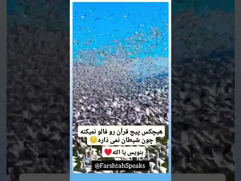 پچمو فالو کن تا گمم نکنی ذکر الله دعاء مستجاب آرامش روح 