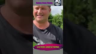 Eastern Green Mamba Realtime Documentary