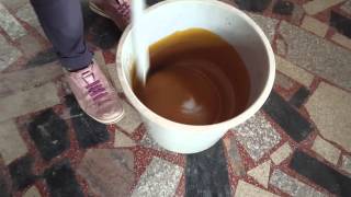 秀才里 環保交流香港西區扶輪社匡智晨輝