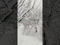 heavy snowfall🥶🥶🥶💯 #snowfall #lastdecember #viral #new #snow #shortshorts #trending #song #love #fyp
