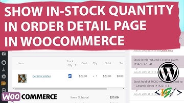 How to Show In-Stock Quantity for Product in the Order Detail in WooCommerce Admin Dashboard