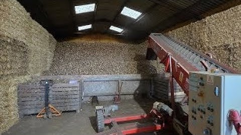 Potato harvest 2025 🇬🇧🥔🚜