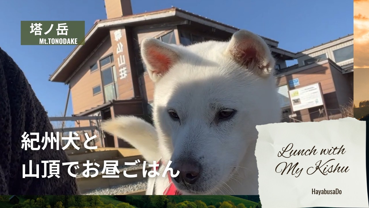 【塔ノ岳｜Mt. TONODAKE】紀州犬・隼丸と山頂で食べるお昼ごはん｜Lunch with My Kishu, Haya