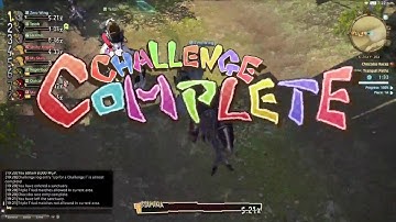 FFXIV - Chocobo Challenge #15 - PS4 1080p