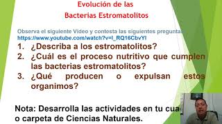 Evolución de bacterias