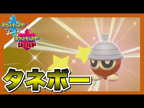 色違いタネボーを出して発狂する男 ポケモン剣盾 Youtube