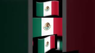 Scan D Minor Vs Round Lol