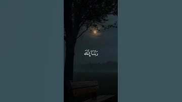 اكتب شيء تؤجر عليه ❤️😴| تلاوة  هادئة  وجميلة جدا_قران كريم _القارئ عبد الرحمن مسعد